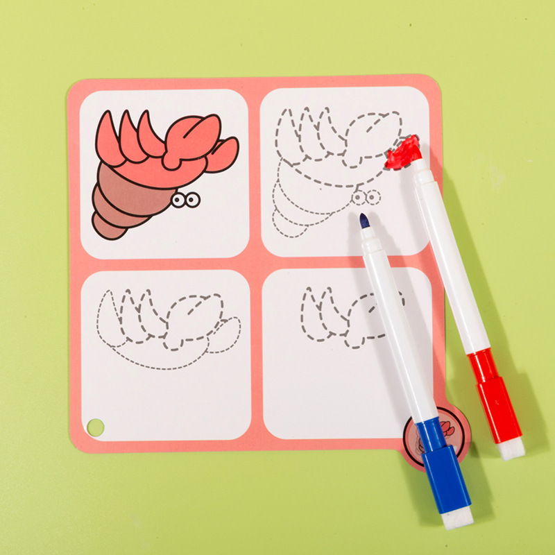 早教闪卡/潜能开发卡实物图