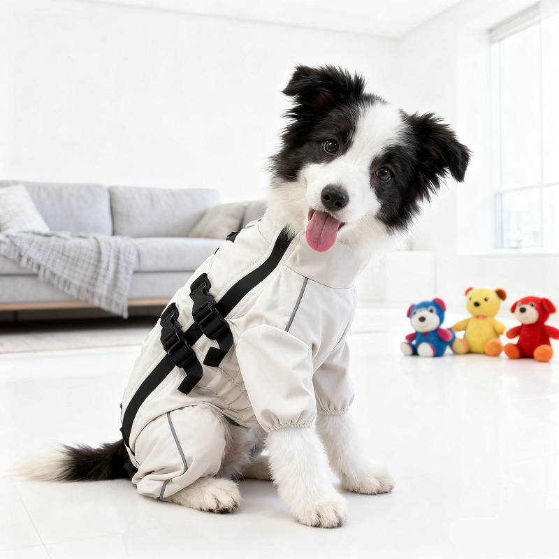 宠物衣服/狗狗衣服/宠物狗狗衣服/宠物服饰/宠物服装产品图