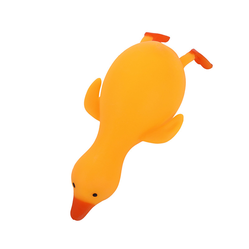 import白底实物图