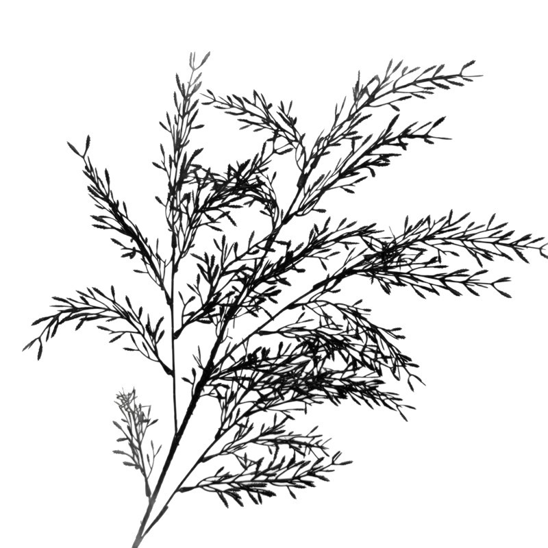 Black plastic flower wedding simulation flower arrangement, silk flower artificial flower materials, wedding hall decoration flower art theme flower arrangement wholesale Item Picture