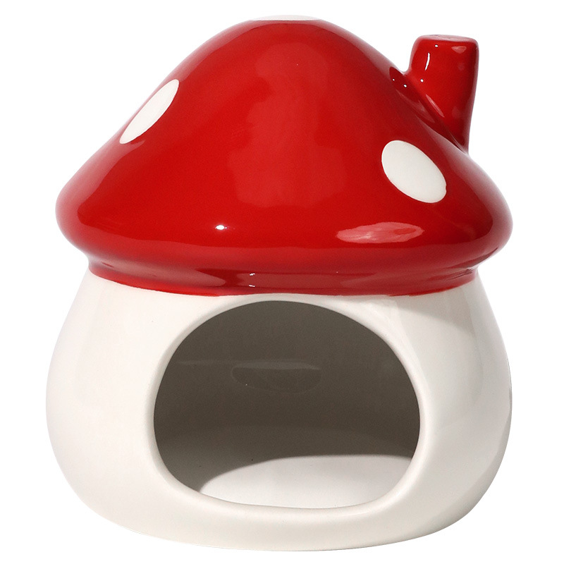 import白底实物图