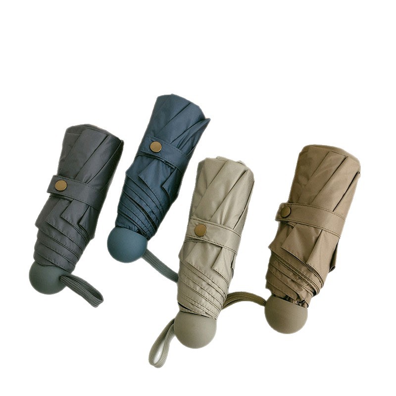 import白底实物图