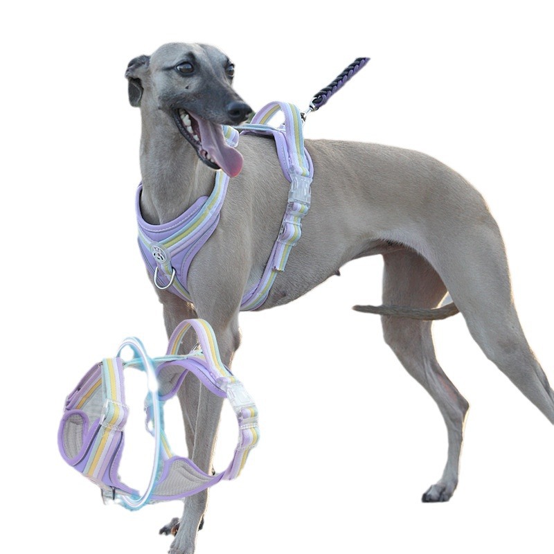 Yungan Breathable pet chest and back dog pet retractable leash, pet leash supplies, pet chest and back dog supplies Item Picture