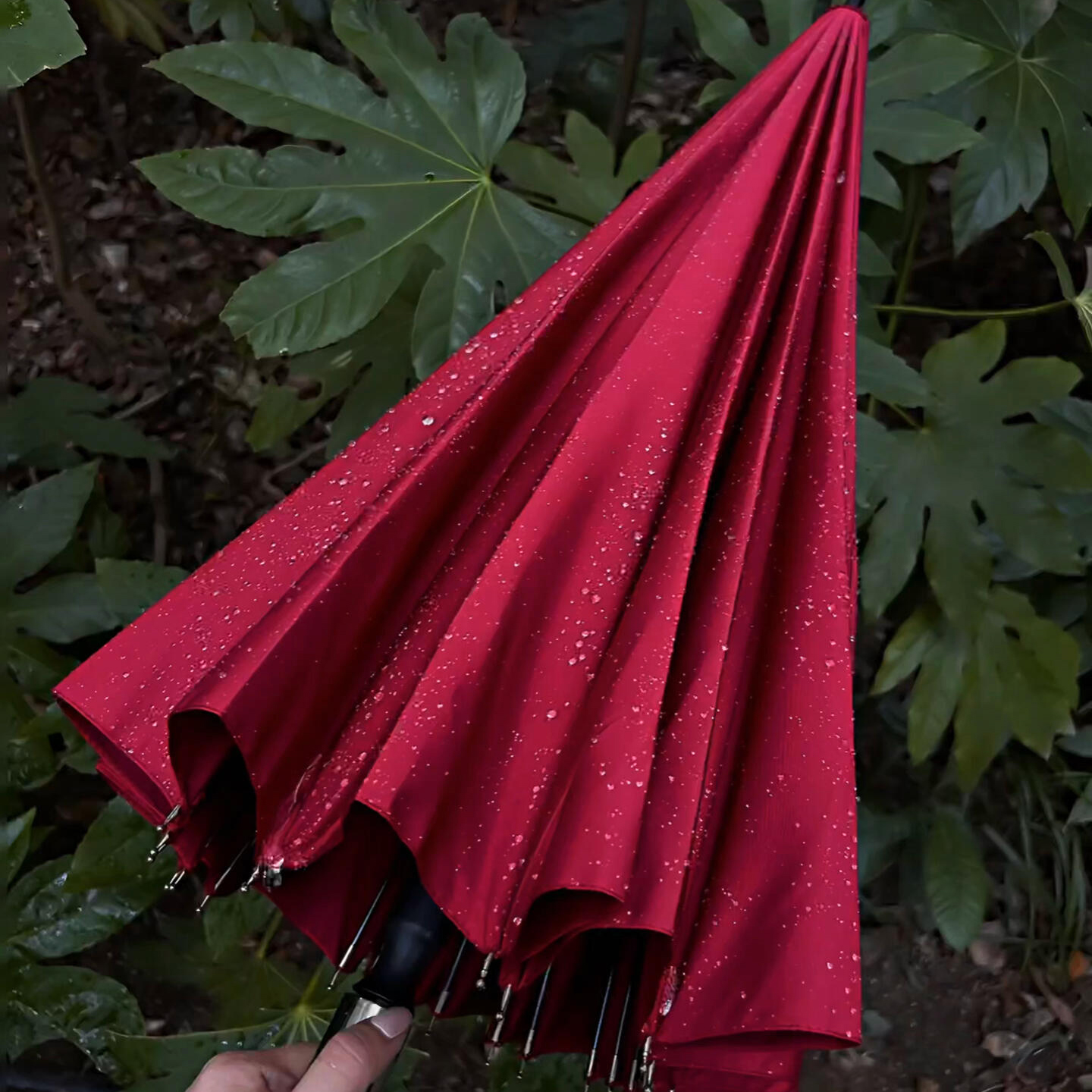 雨伞/雨伞太阳伞/自动折叠伞/胶囊雨伞/雨伞套装产品图