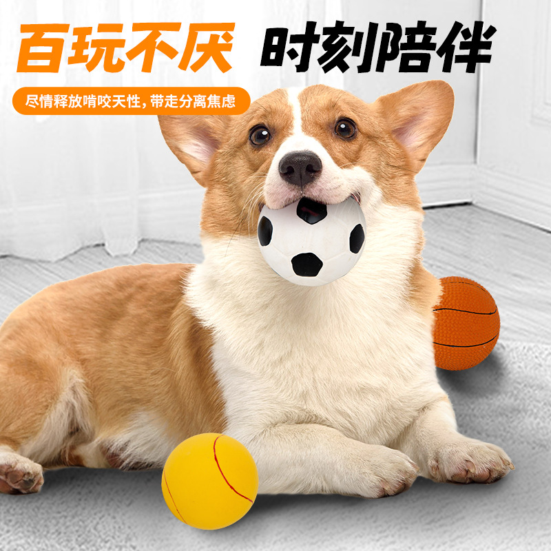 Wholesale of pet toy balls, football balls, basketball simulation mini balls, tennis balls, interactive training toys and elastic balls details Picture