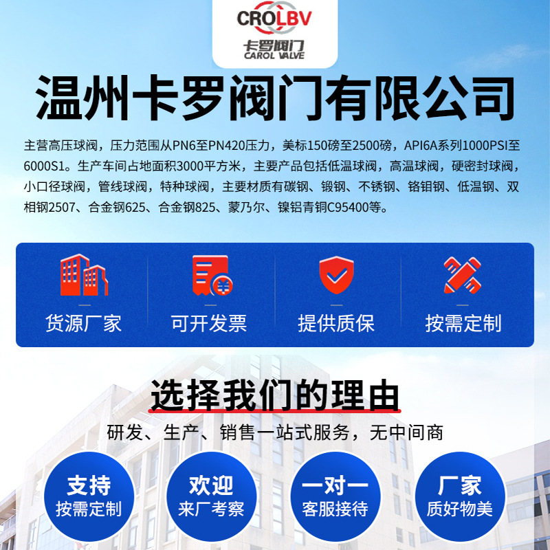 黄铜/Switch/31号门/铜阀门/泵阀细节图