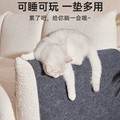 宠物尿片/尿垫/护垫实物图