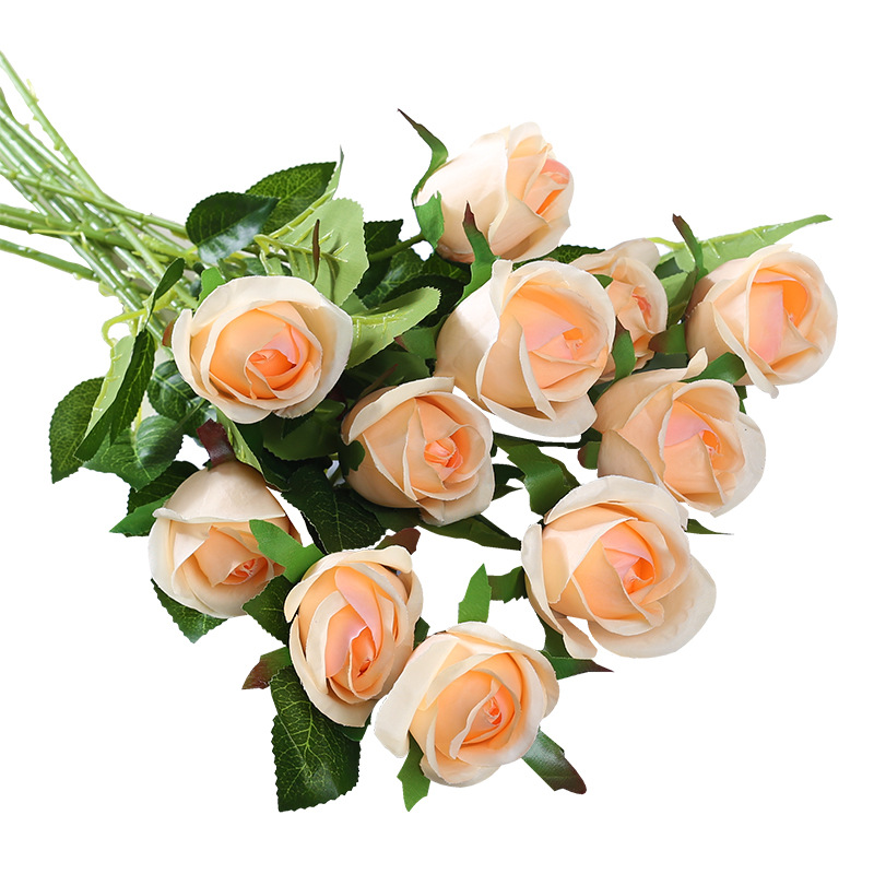 جوف جوف الورود، جوف الورود، جوف Item Picture