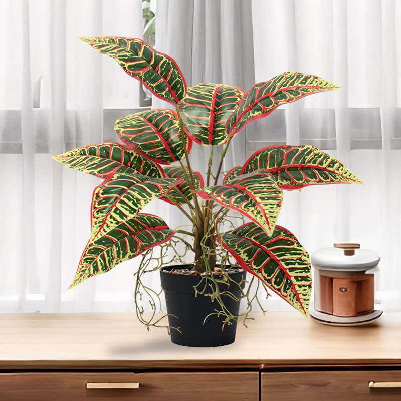 Indoor ornamental small potted plants with green leaves and red edges, succulents, flowers and green plants Application Scenario