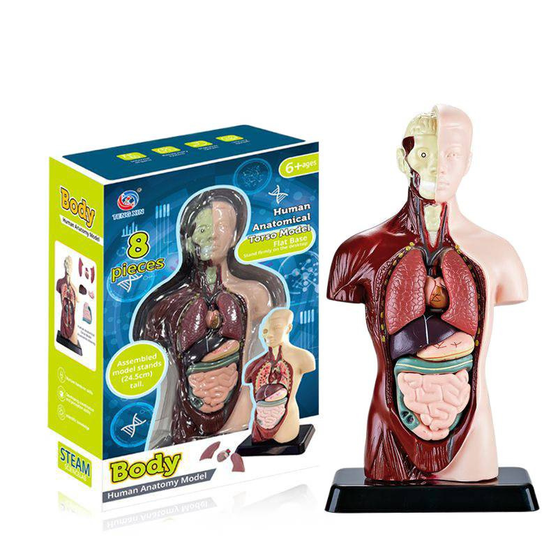 泡泡玛特/动物模型/动物仿真蛇/泡泡玛特手办/小摆件白底实物图