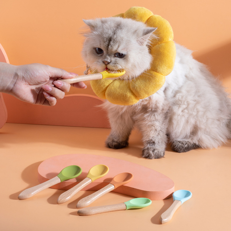 Pet spoon, cat can spoon, wooden handle, silicone, food-grade wet and fresh food feeding spoon for kittens, pet supplies details Picture