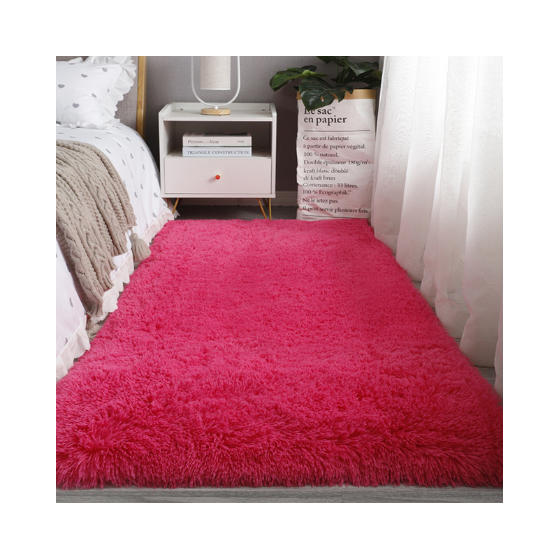 ins风网红丝毛地毯客厅耐脏易打理茶几毯少女毛绒加厚卧室床边毯白底实物图