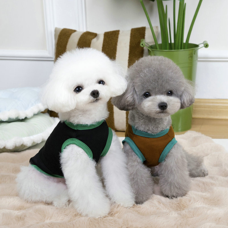 Dogs, pet cats, Teddy poodles, Chihuahuas, Bichon Frises, small clothes, spring and summer outfits, unity vests, puppies details Picture