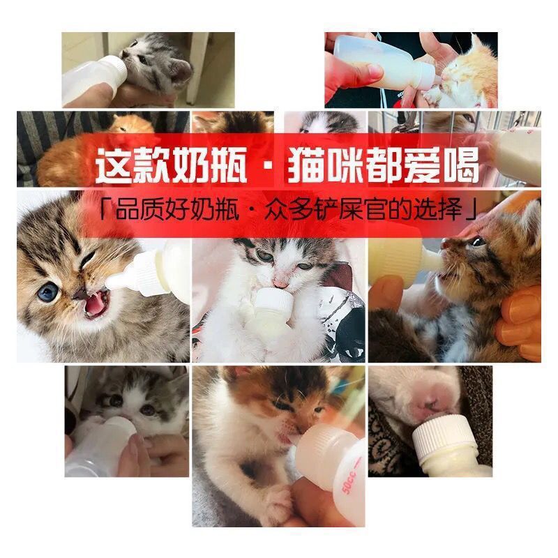宠物/宠物猫猫用品白底实物图