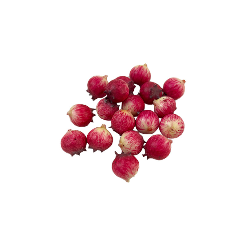 仿真植物蓝莓果果树莓果家居果篮装饰拍摄道具模型厂家批发