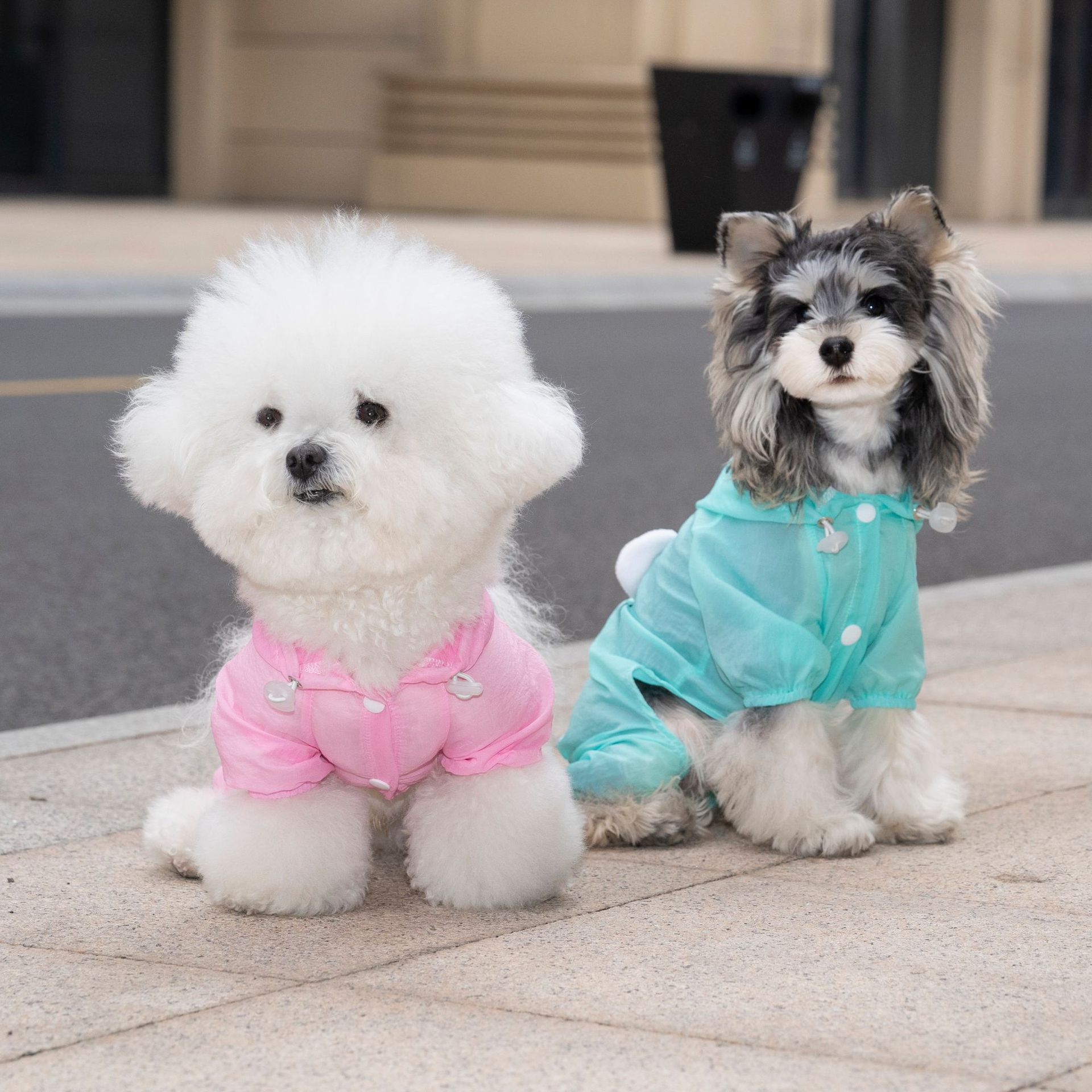 Spring and summer pet waterproof four-legged coat, dog and cat cap skin coat, small dog, teddy and bichon Frise outdoor wear Application Scenario