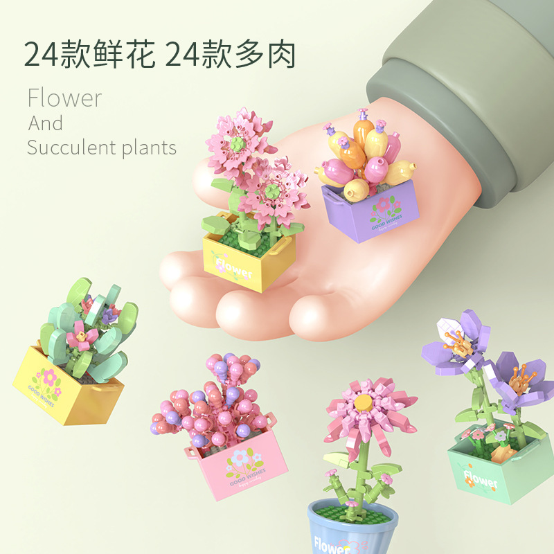 盆栽实物图