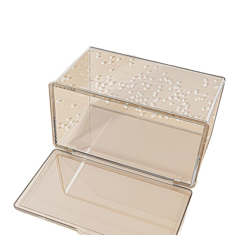 import白底实物图