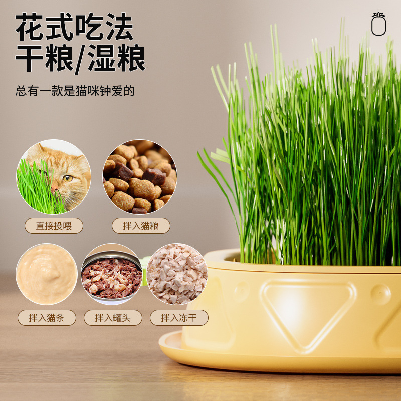 The original pineapple cat grass box is designed for soilless hydroponics with a layered design to expel hairballs and dissolve hair, promoting digestion and cultivation Specification image
