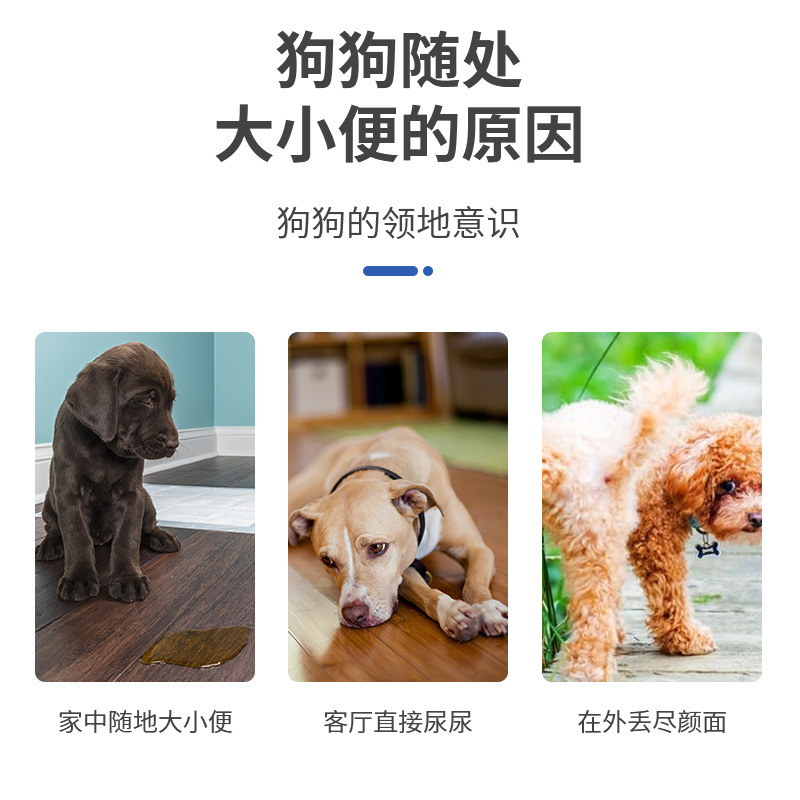 排便定位实物图