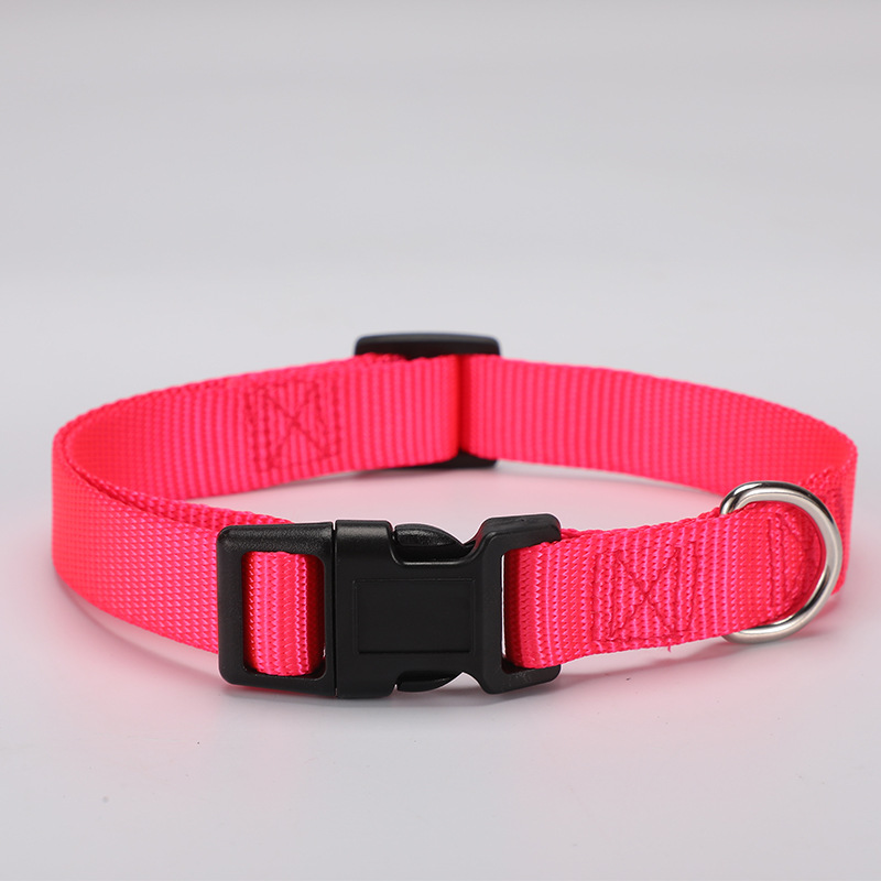 Pet collars, four-season collars, imitation nylon cat collars, pet supplies, cross-border factory, universal puppies, puppies Application Scenario