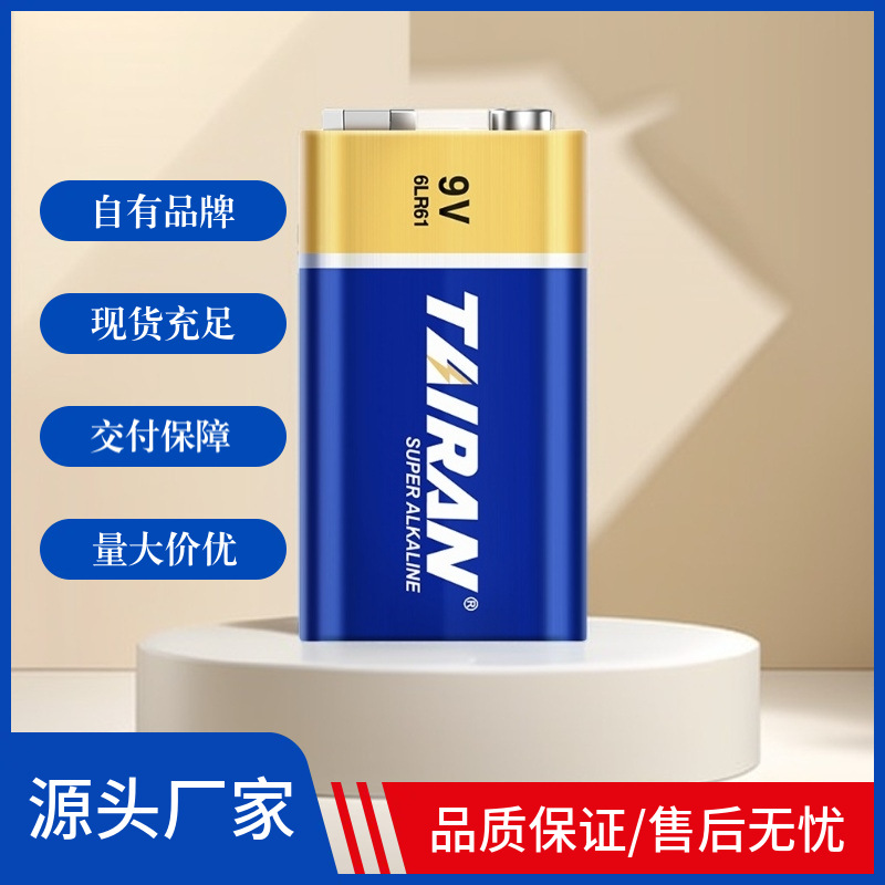 Titanium Ran 9V alkaline 6LR61 battery smoke detector wireless microphone Metal detector multimeter 6LR61 square battery details Picture