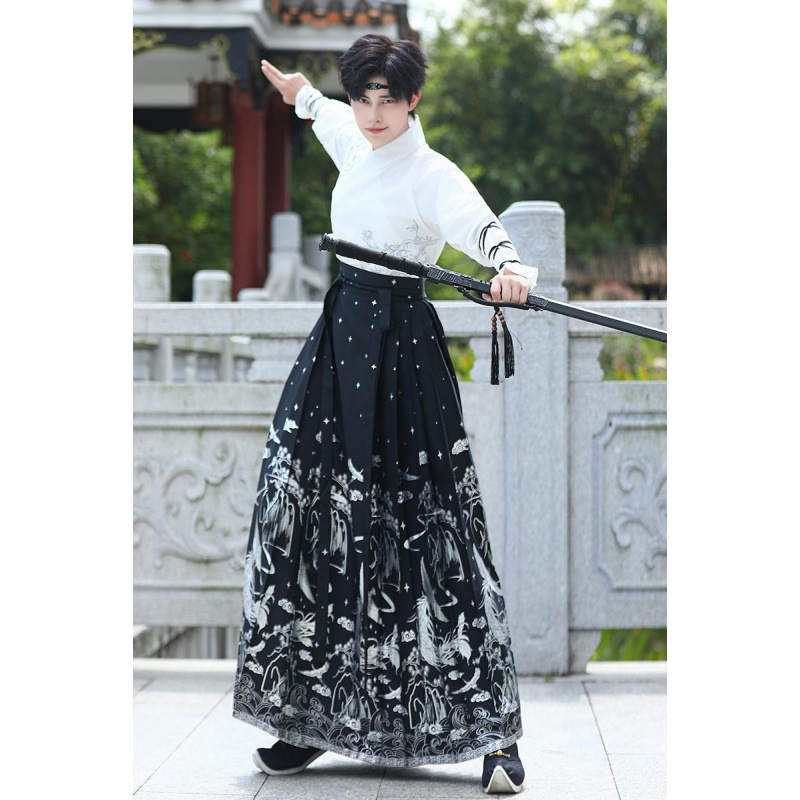 New Chinese-style men's Chinese-style embroidered cross-neck top, silver embossed horse face skirt, Hanfu, ancient style martial arts style couple's set details Picture
