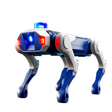 机器人模型实物图