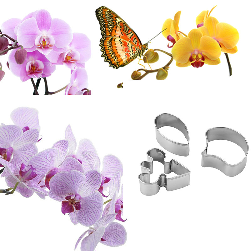 厨房用品烘培模具蝴蝶兰翻糖切模不锈钢糖花烘焙模具烘焙3件套翻糖工具套装外贸