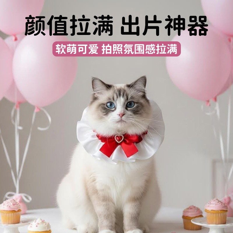 A collection of best-selling pet products, including cute cat and dog collars, exquisite bows, and comfortable scarves. Factory direct sales Specification image