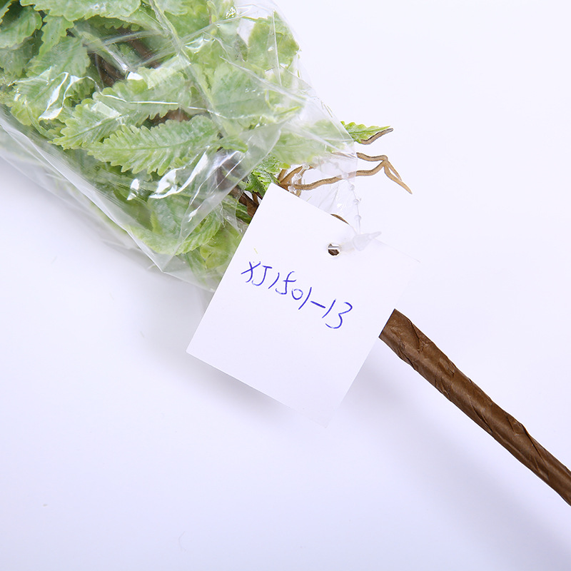婚庆装饰仿真植物假花绿植蕨类叶子植物墙绿植墙配材波斯草波斯叶白底实物图