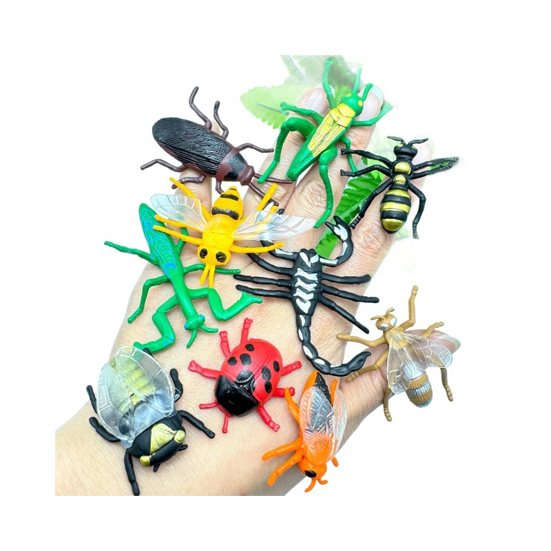 import白底实物图