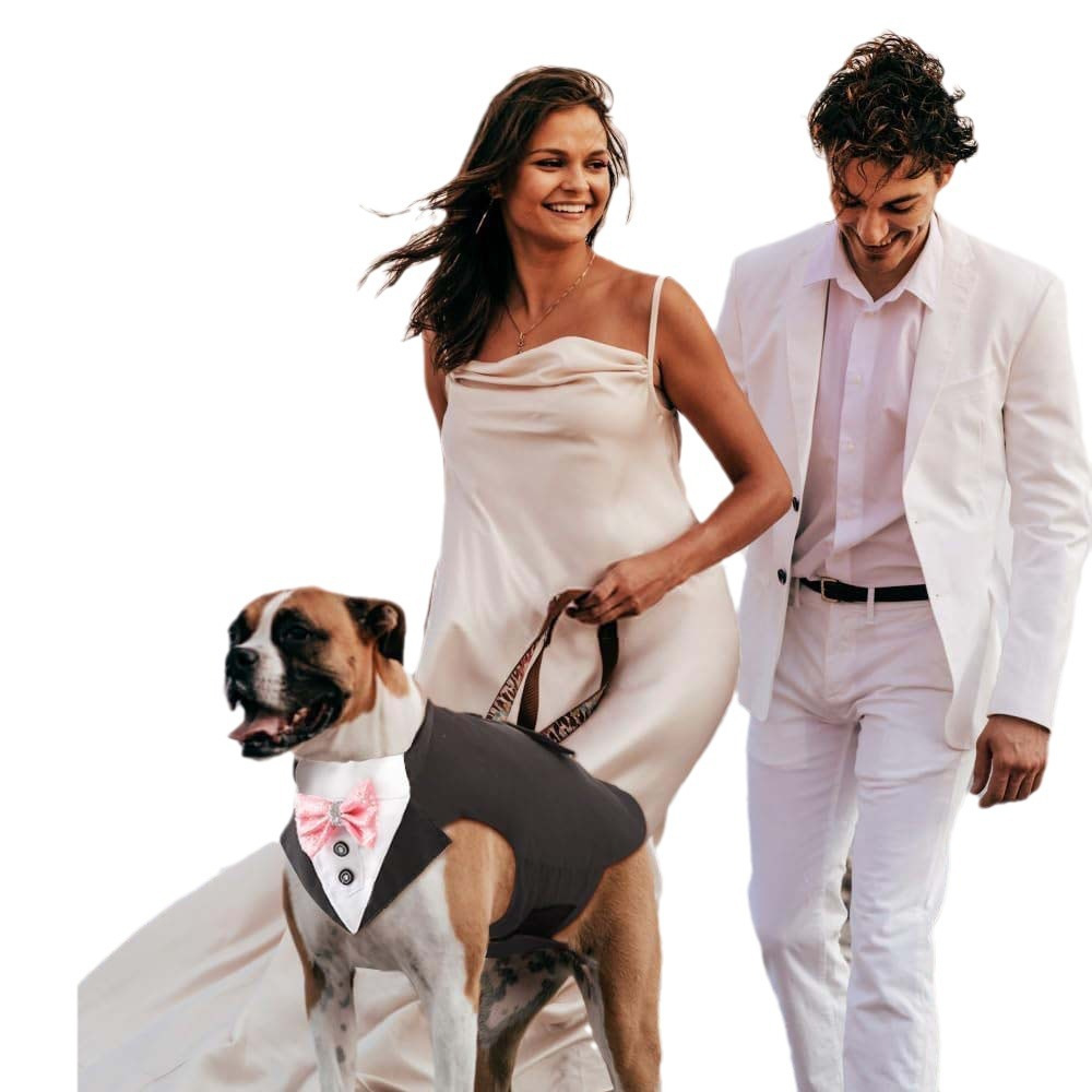 Cute pet clothing for dogs and cats. Spring and summer pet clothing and accessories. Comfortable and fashionable pet dog clothes Item Picture