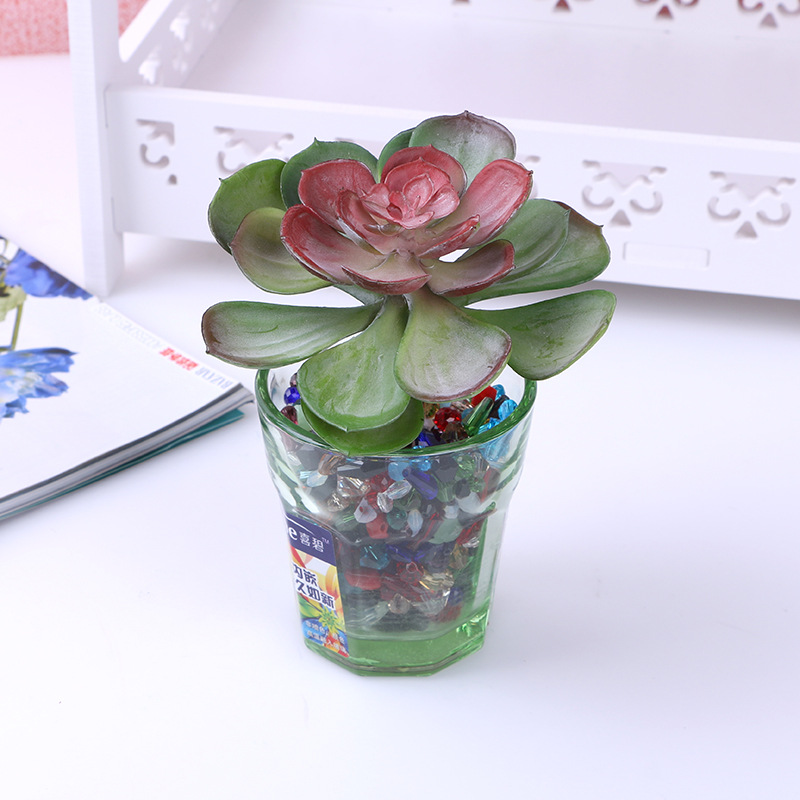 植物工艺品实物图