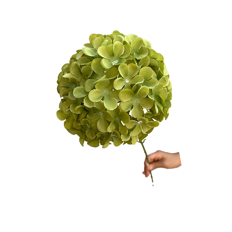 仿真柿子树/朱顶红种球/仿真金桔/树苗/花盆冰箱贴白底实物图