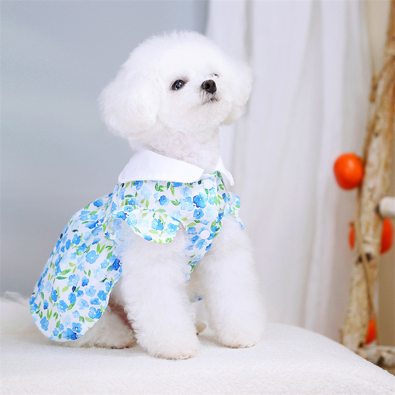 白色小狗穿着蓝色花朵图案宠物狗狗衣服宠物服饰宠物服装