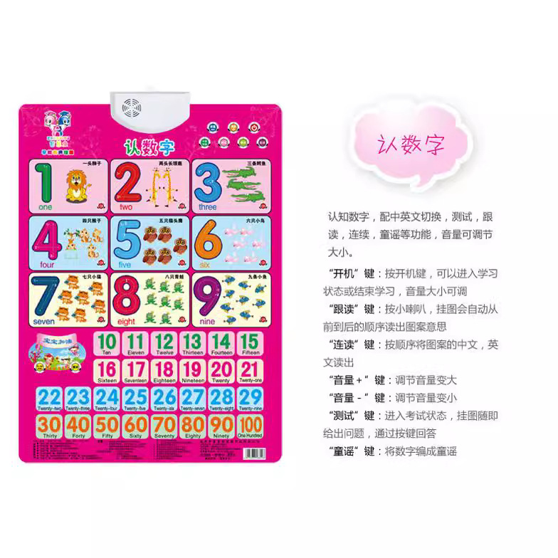 玩具挂图/认知卡实物图