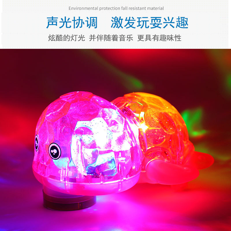 动植物/仿真模型实物图