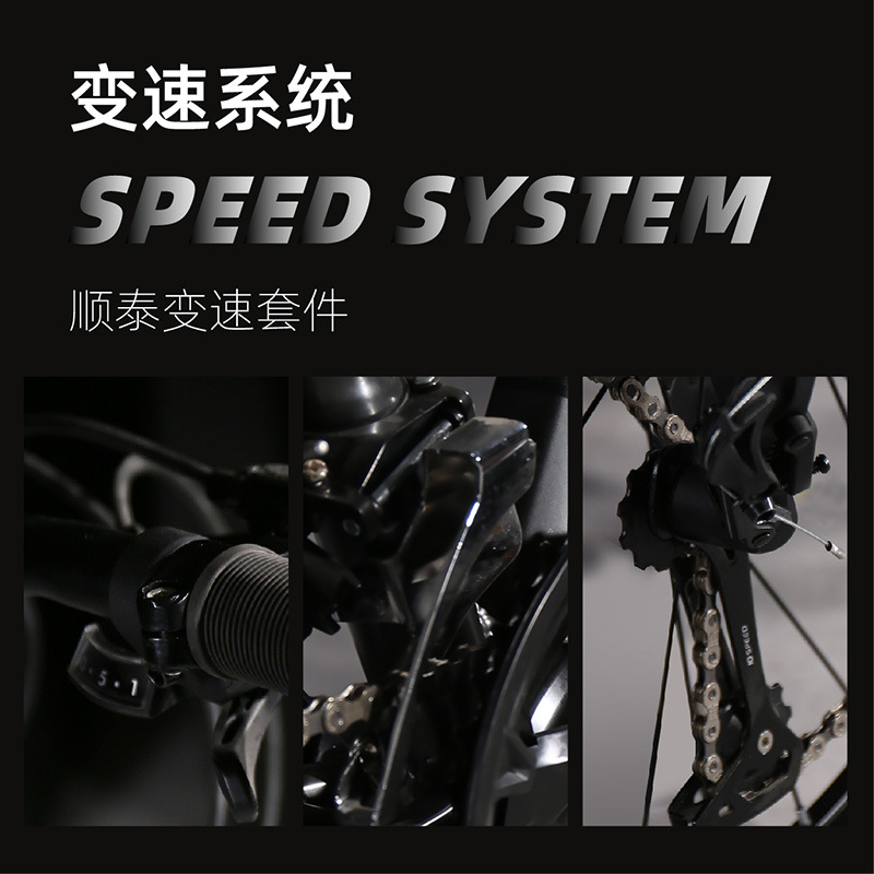 Flying Pigeon brand mountain bikes, men's variable speed mountain bikes, teenagers, middle school students, women, road racing, adults Application Scenario