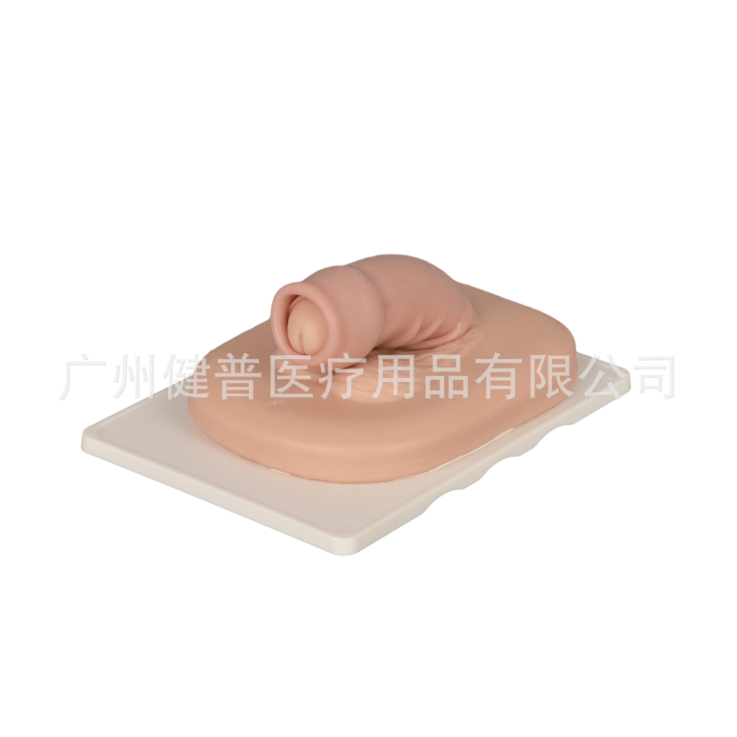Medical teaching, surgical intern, circumcision practice, circumcision model simulation, circumcision model Application Scenario