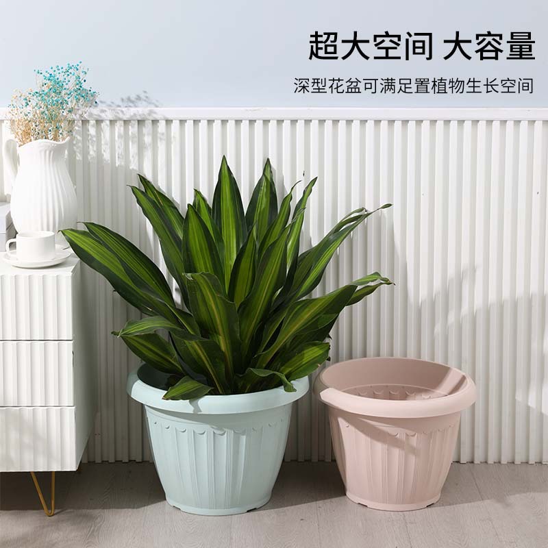 花盆/塑料花盆/水培花盆/陶瓷花盆/花盆内盒产品图