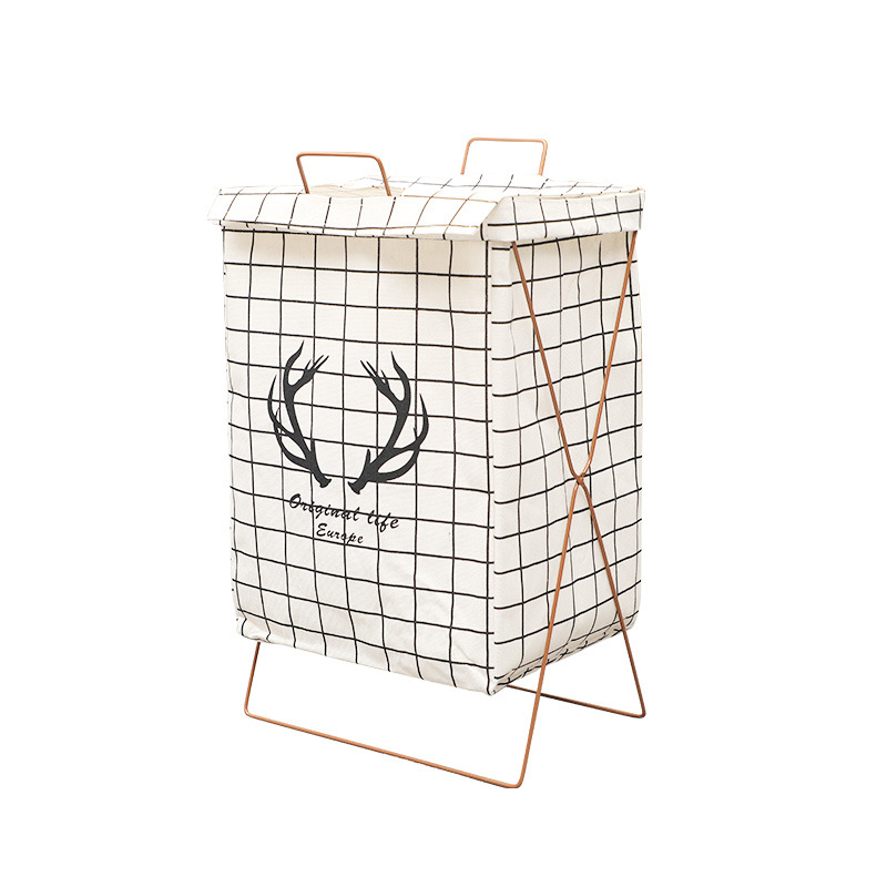 import白底实物图