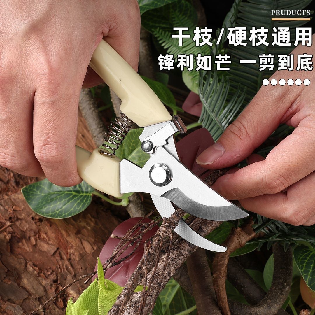 Pruning shears, powerful stainless steel multi-functional garden scissors, orchard peach tree scissors, garden shaping garden tools details Picture