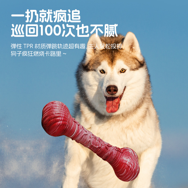 跨境狗狗宠物玩具洁齿橡胶骨头磨牙棒咬不烂狗宠物自嗨玩具
