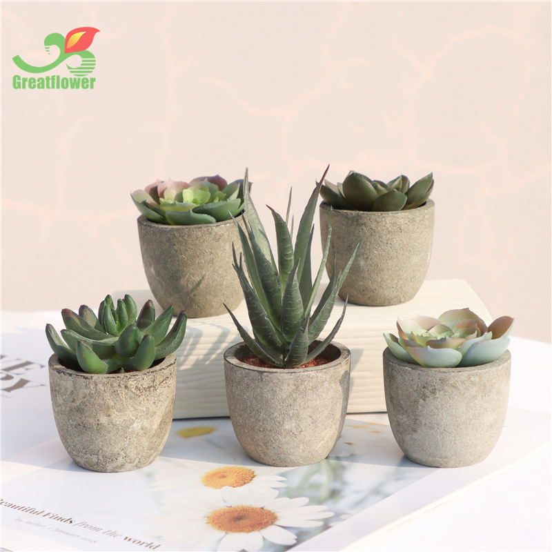 亚马逊室内装饰仿真多肉植物盆栽复古假花盆景家居客厅桌面摆件产品图