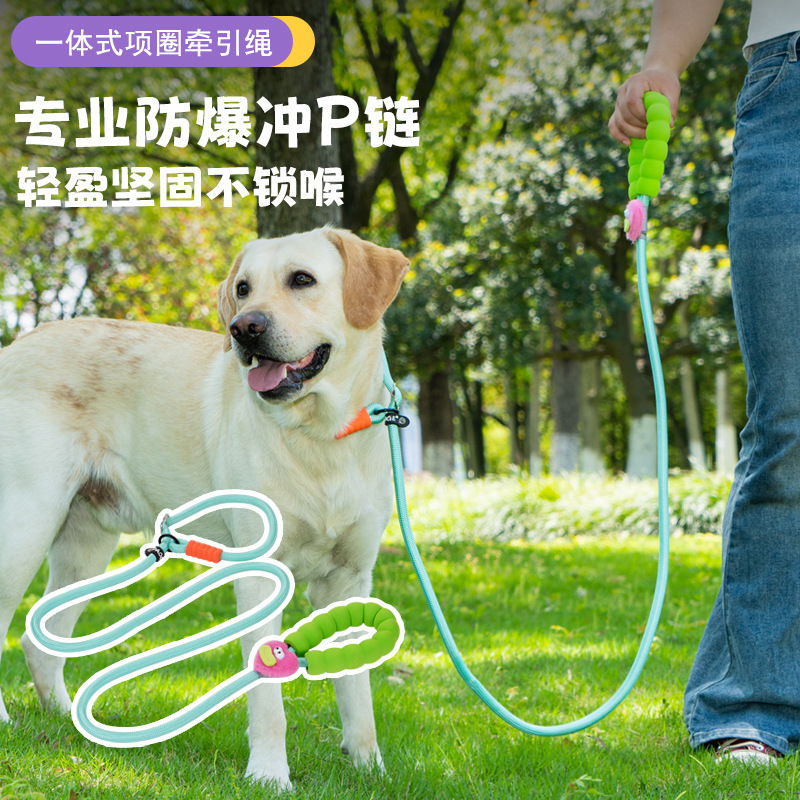 Rongka Pet's cross-border best-selling dog walking P-leash, dog leash, small dog P-chain, dog leash, dog supplies Application Scenario