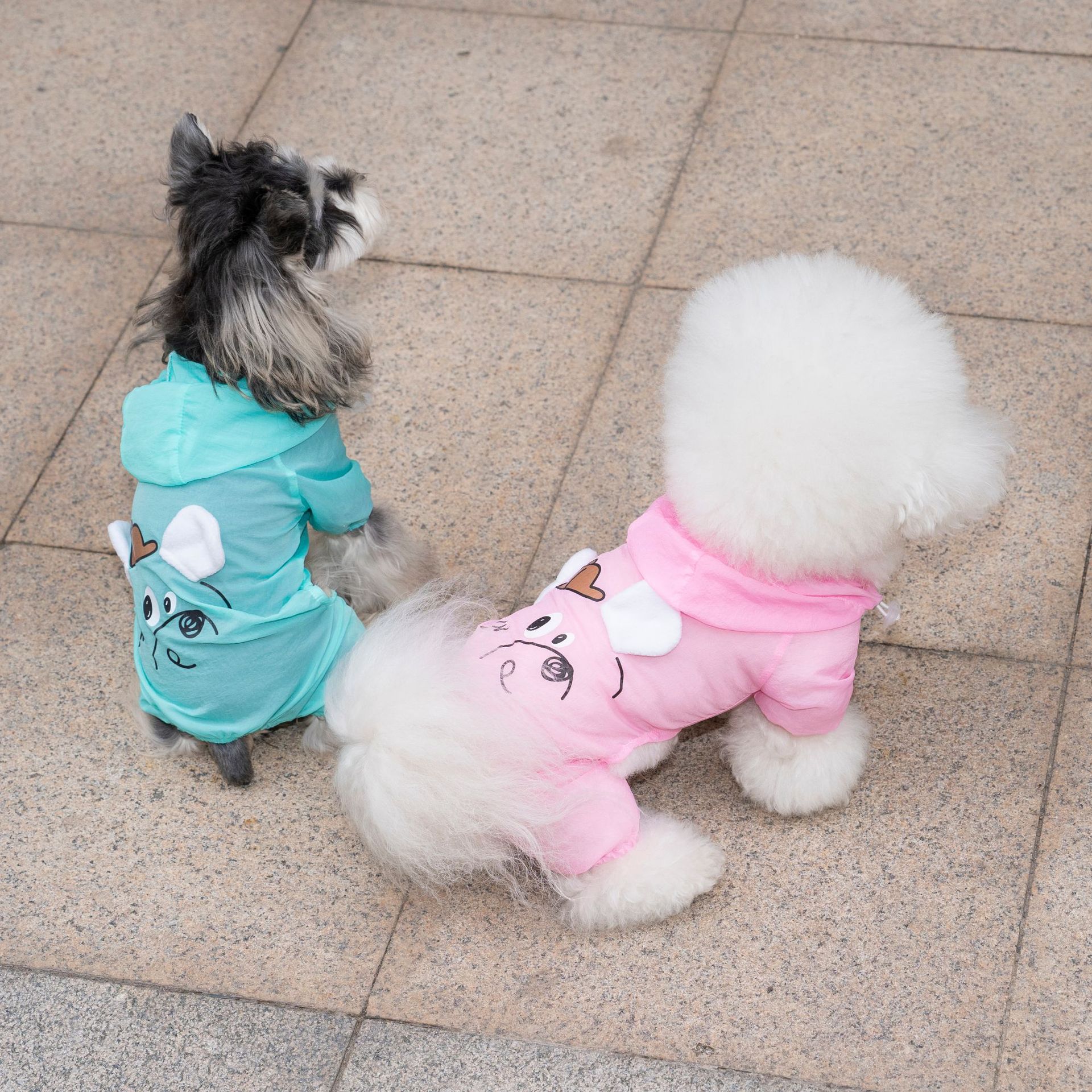 Spring and summer pet waterproof four-legged coat, dog and cat cap skin coat, small dog, teddy and bichon Frise outdoor wear details Picture