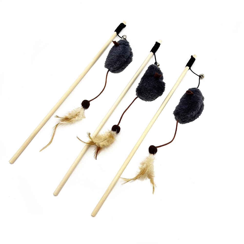 تقوم القطط الصغيرة بتفيف شعر الفئران الرمادية ذات ريشة الاجراس Item Picture