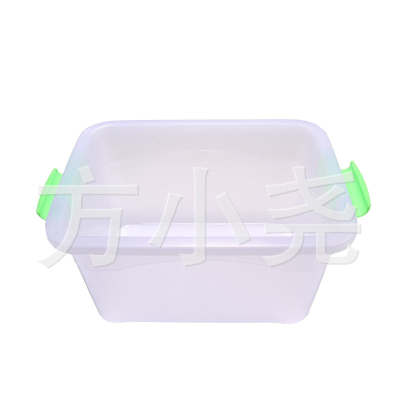 import白底实物图