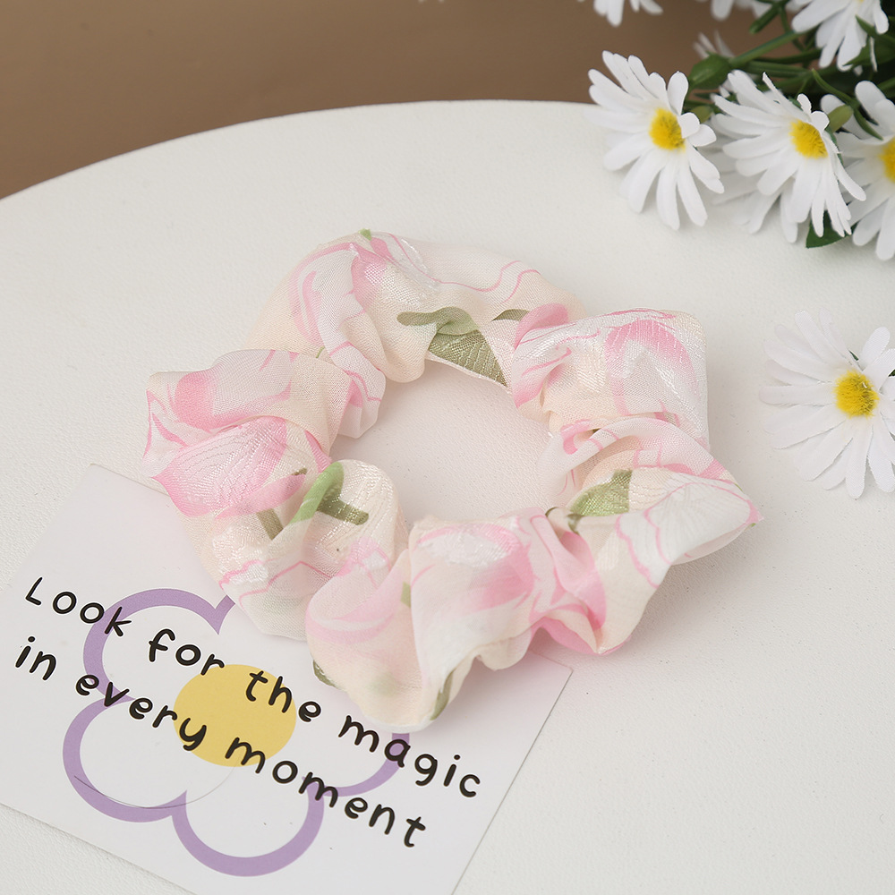A fresh and delicate girl's large intestine hair band with a ponytail and a hair band, a Korean version of an Instagram girl's hair band Specification image
